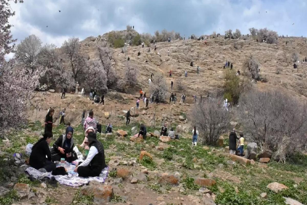 3. Badem Çiçeği Festivali Sona Erdi