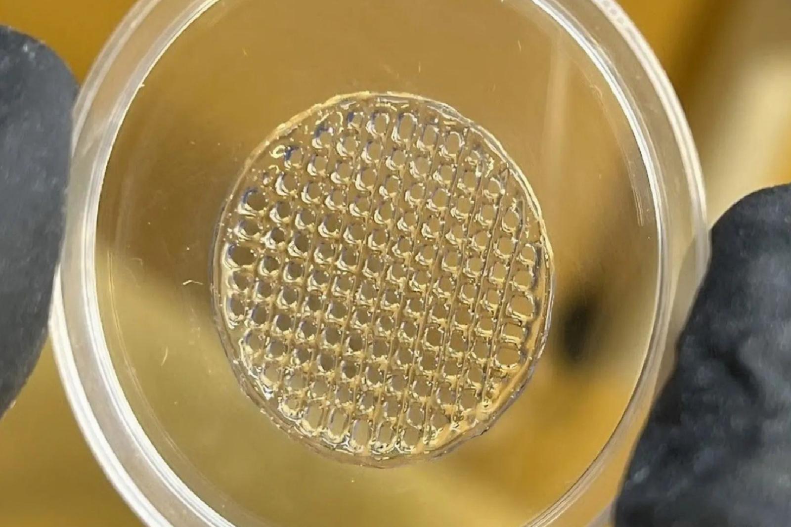 3D baskılı deri teknolojisi, kozmetik sektöründe hayvan deneylerinin sonunu getirebilir