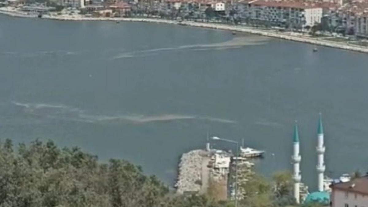 4 yıl aradan sonra Bursa’nın Gemlik Körfezi’nde müsilaj