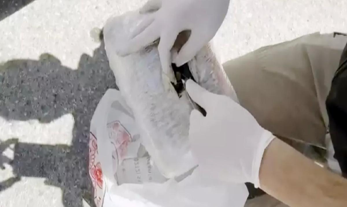 Adana’da Otoyolda Esrar Yakalandı