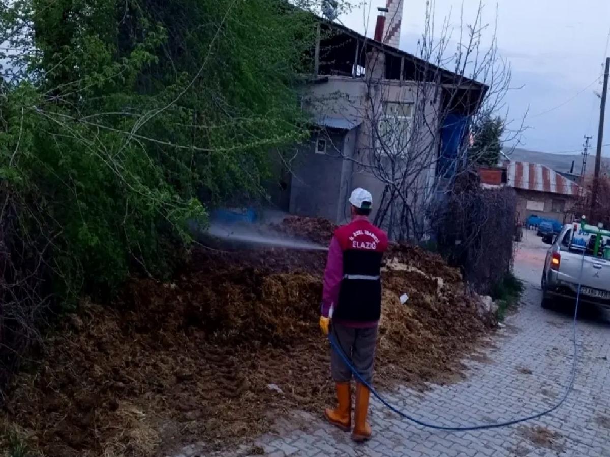 Ağın’da Sinek İlaçlama Çalışmaları