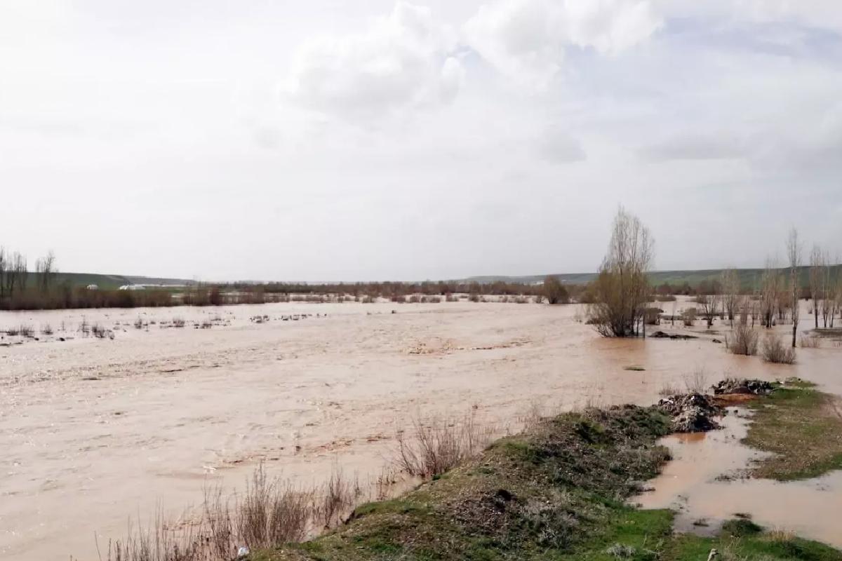 Ağrı’da Murat Nehri Taştı, Tarım Arazileri Zarar Gördü