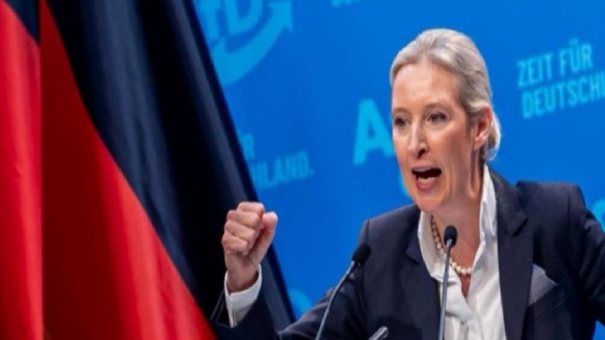 Almanya’da aşırı sağ yükseliyor: AfD rekor oyuna ulaştı