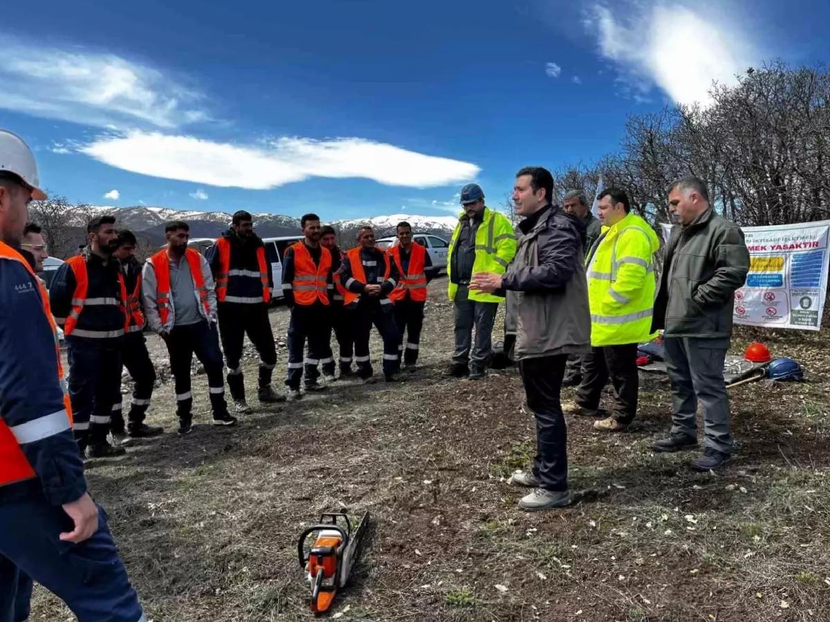 Aras Elektrik’ten Çevreye Duyarlı Budama Çalışmaları