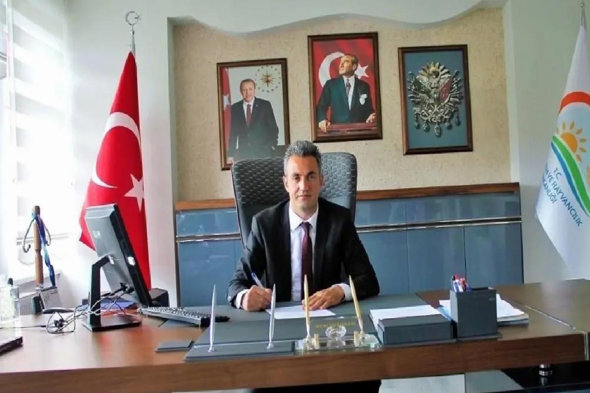 Arı Kolonileri Üretimde Hayati Rol Oynuyor