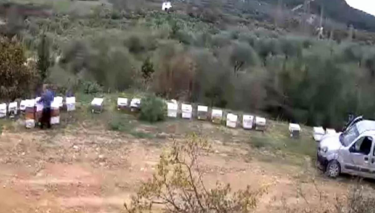 Arı Kovanları Hırsızı Yakalandı