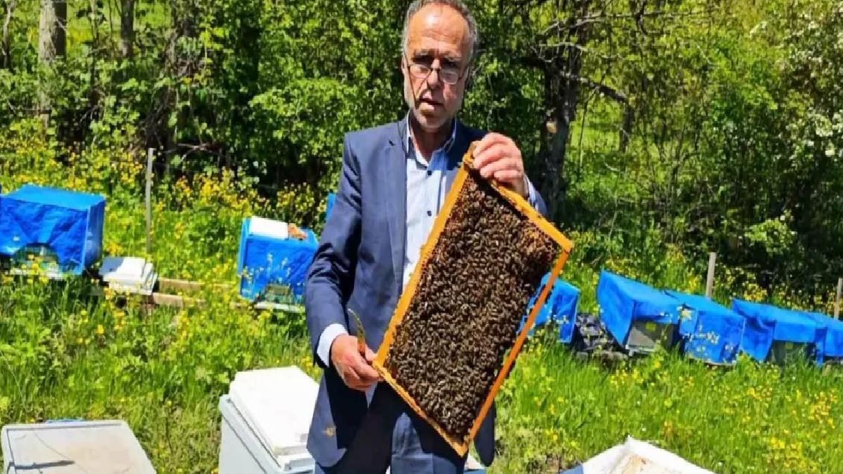 Artvin’de Arıcılık Don Dalgasından Etkilendi