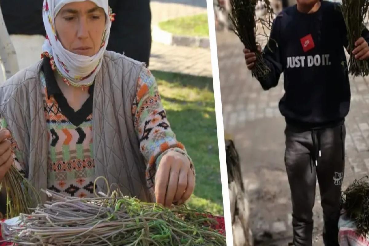 Aydın’da kendiliğinden yetişen bu otlar garibanın cüzdanını, zenginin sofralarını süslüyor