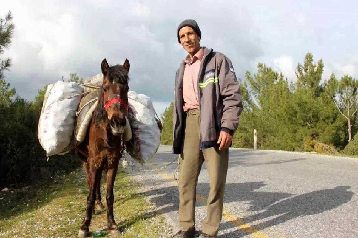 Aydın’da Tarımda Eski Usul: Atlarla Çalışan Zeki Yardım