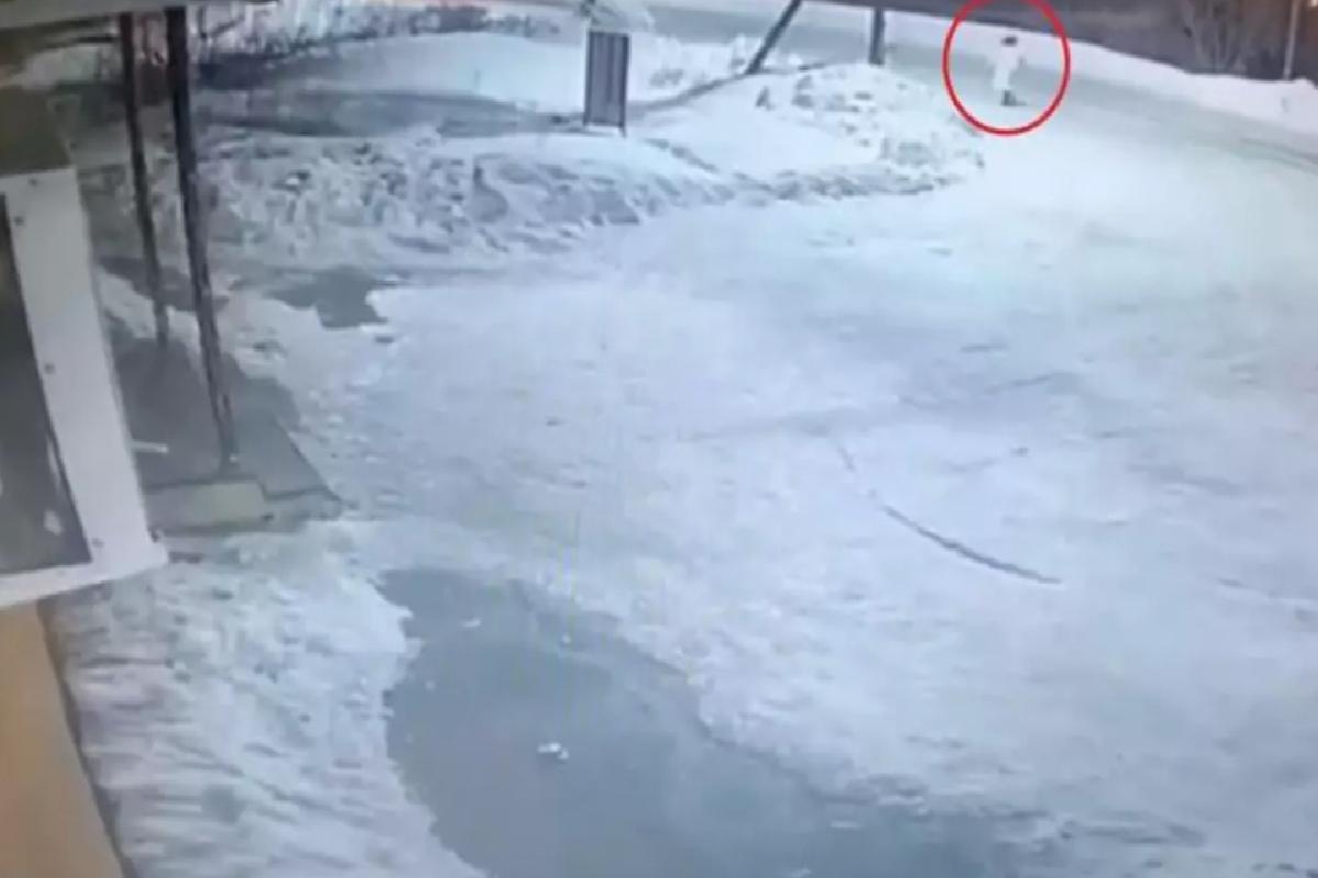Ayı saldırısına uğrayan kadından geriye sadece kafası kaldı