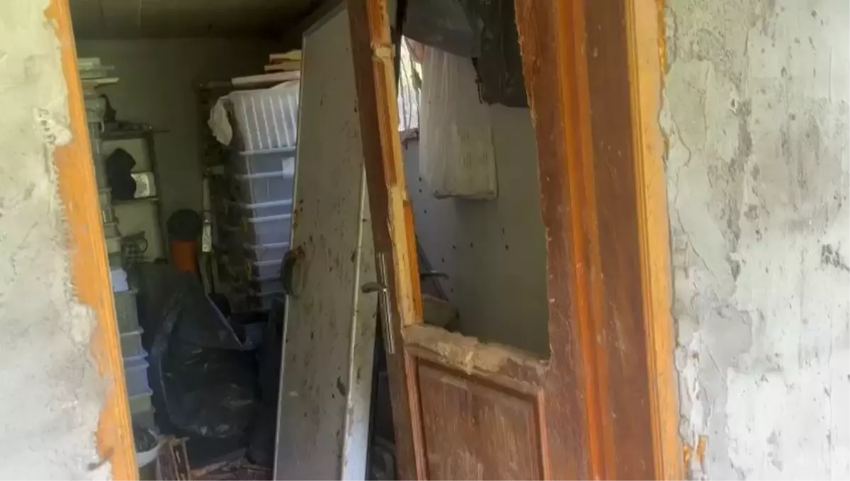 Ayılar 30 Evi Zarara Uğrattı