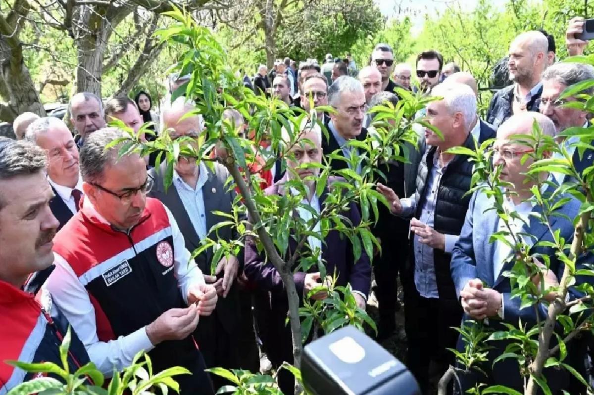 Bakan Yardımcısı Gümen: “Bazı yerlerde yüzde 10, bazı yerlerde ise yüzde 100 hasar oranı var”