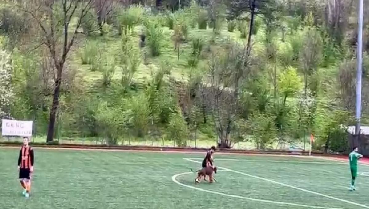 Bartın’da Amatör Maçta Sahaya Köpek Girdi