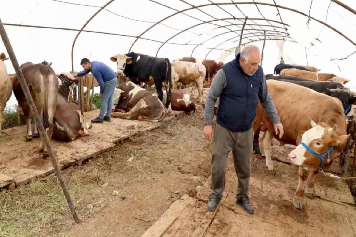 Başiskele’de Kurban Bayramı İçin Hazırlıklar Tamamlandı
