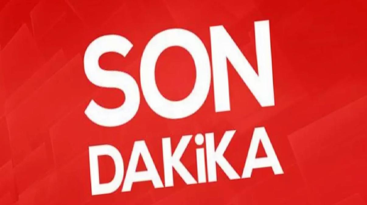 Belgrad Ormanı’nda bulunan Ece Gürel kesin ölüm nedeni belli oldu