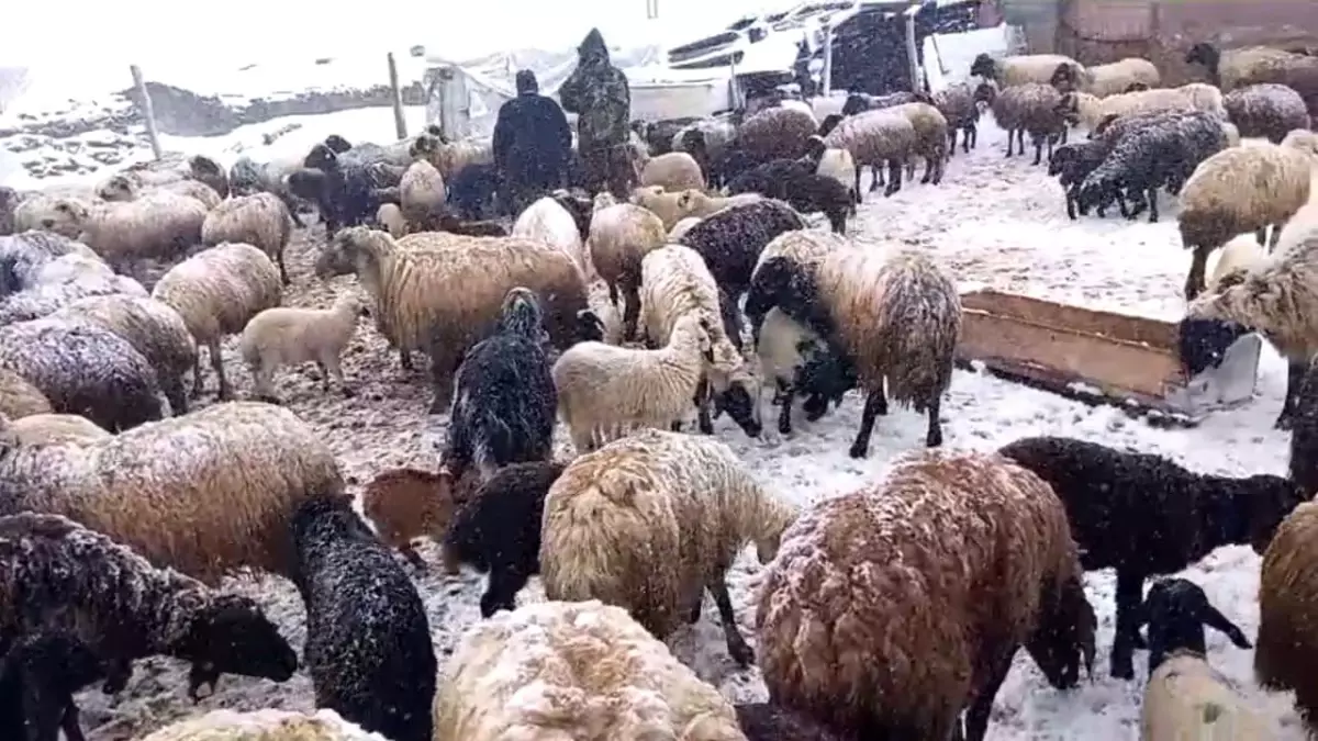Besiciler Karla Mücadele Ediyor