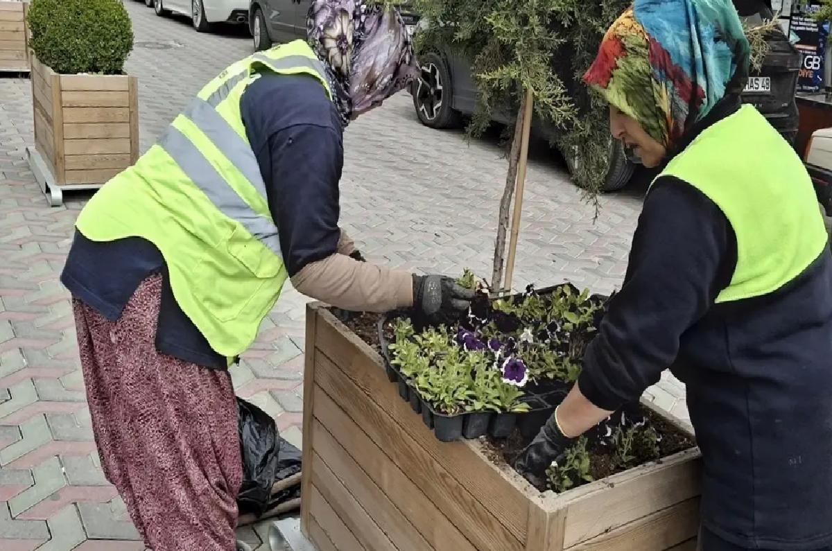 Beypazarı’nda Caddeler Çiçeklerle Renklendi