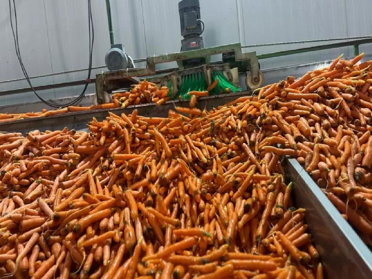 Beypazarı’nda Soğuk Hava Deposu İle Tarımsal Destek