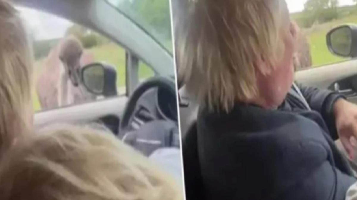 Boris Johnson’ı devekuşu ısırdı