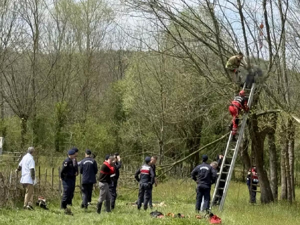 Budamak için çıktığı ağacın tepesinde hayatını kaybetti
