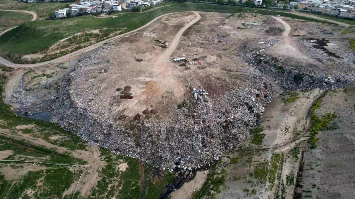 Bursa’da Hayvan Barınağındaki Vahşet Tepki Çekti