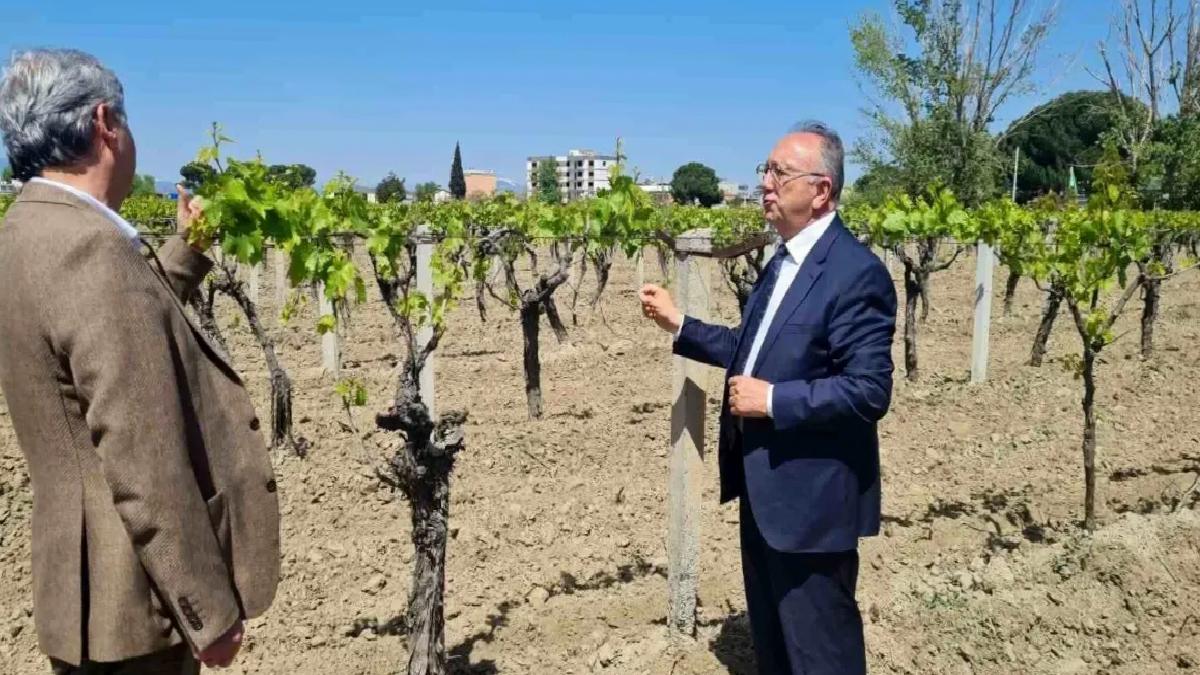 Büyükşehir’den don zararına uğrayan üreticilere destek
