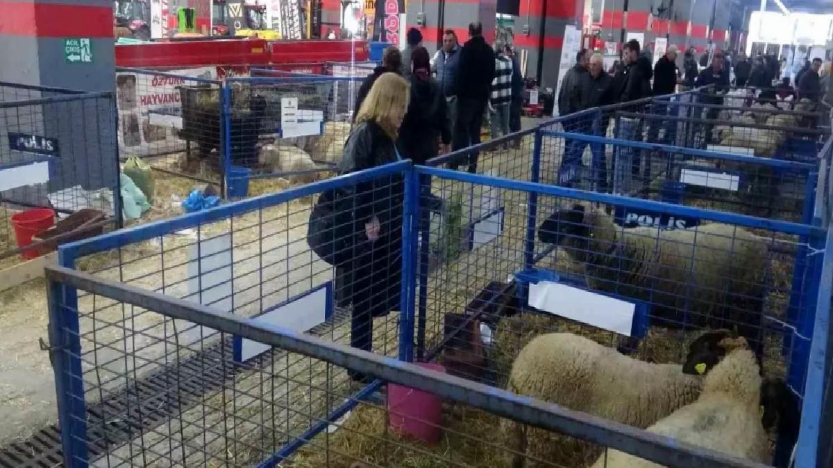 Çanakkale’de 2. Gıda, Hayvancılık ve Tarım Teknolojileri Festivali Renkli Görüntülere Ev Sahipliği Yaptı