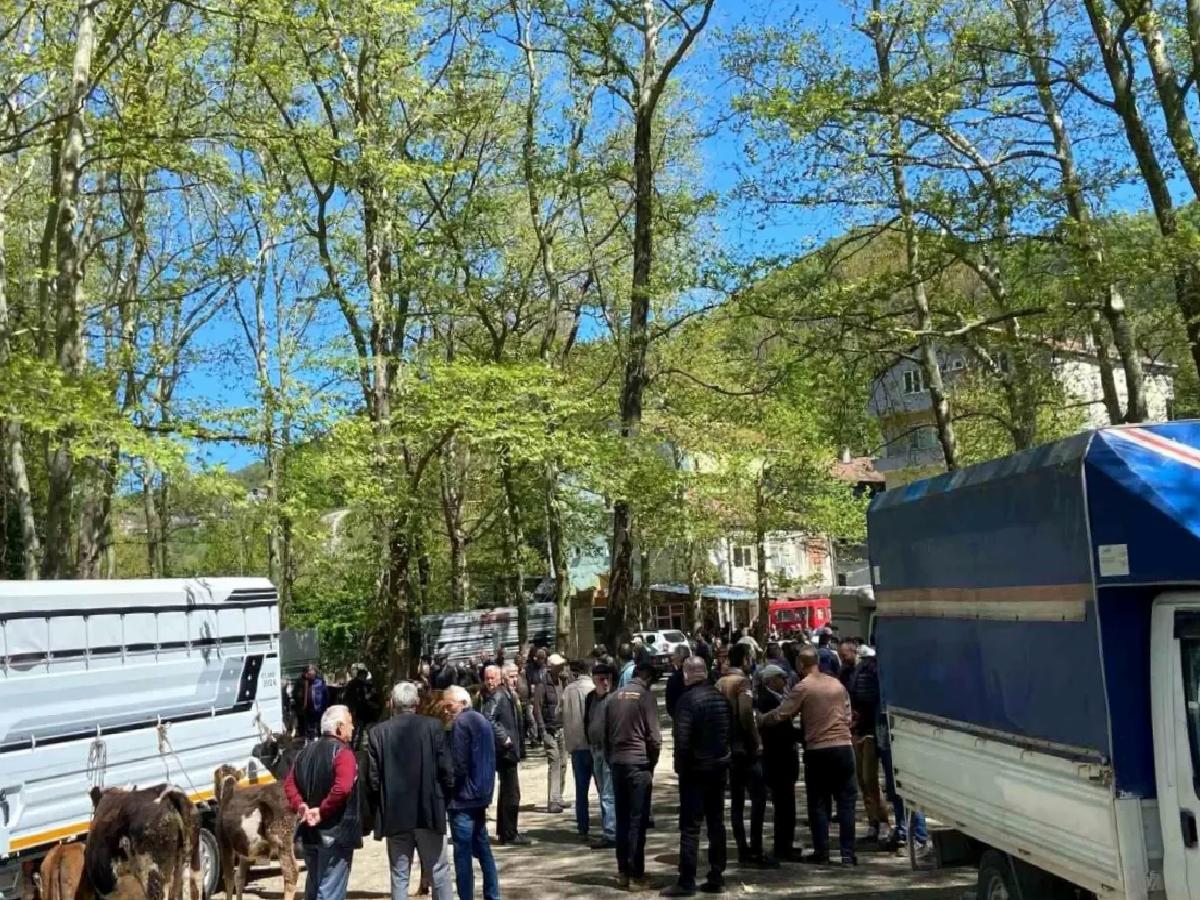 Çarşamba Pazarı’nda Kurbanlık Hareketliliği