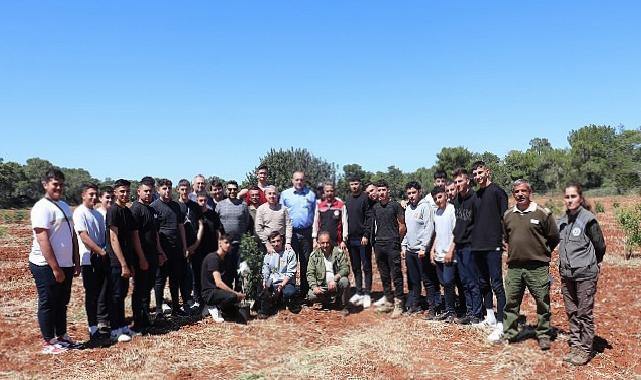 Çeşme Damla Sakızı Kıbrıs Topraklarında
