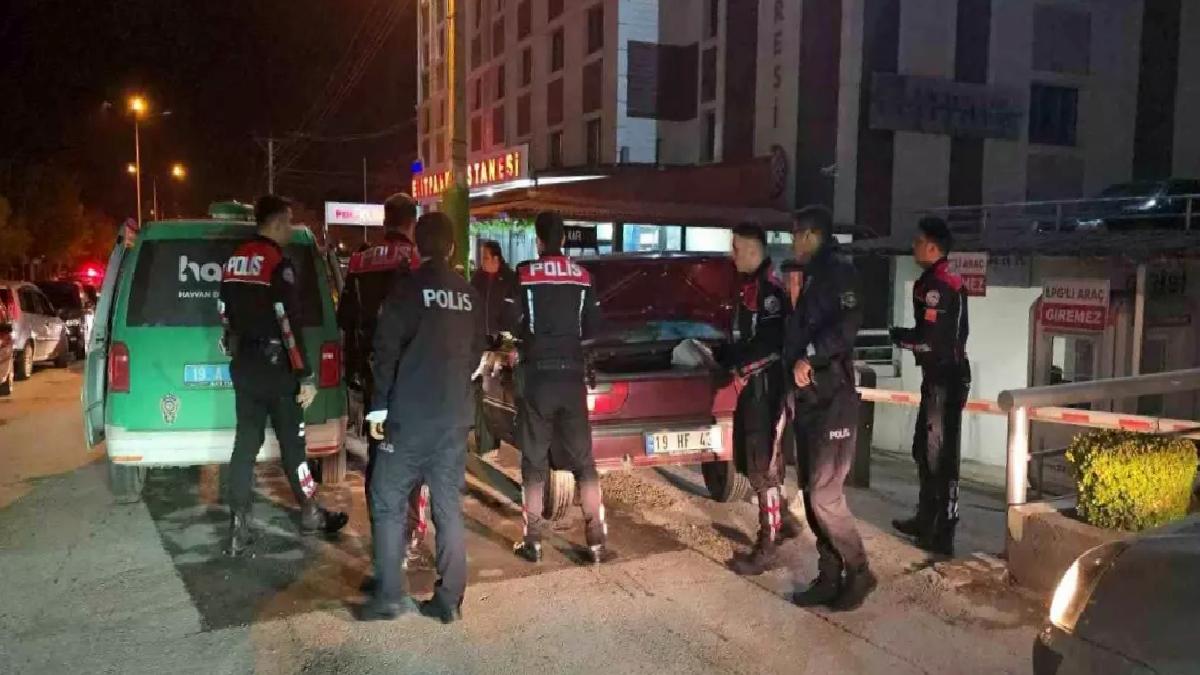 Çorum’da Ehliyetsiz Sürücü Kovalamaca ile Yakalandı