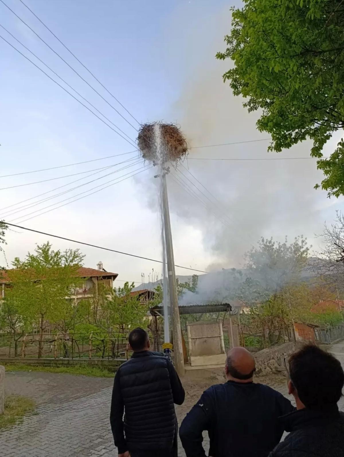 Çorum’da Leylek Yuvası Yangınla Yanarak Kullanılamaz Hale Geldi
