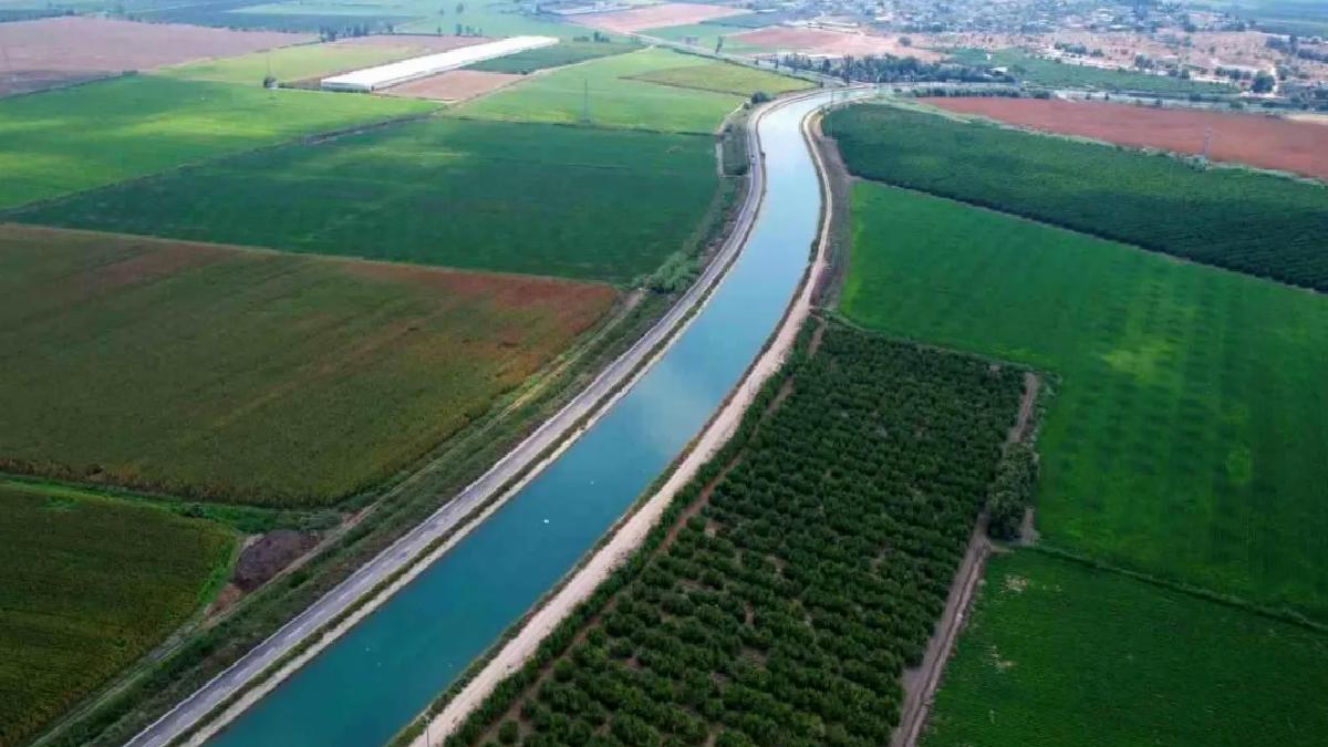 Çukurova’da Yağmur Tarım Ürünlerine Can Su Oldu