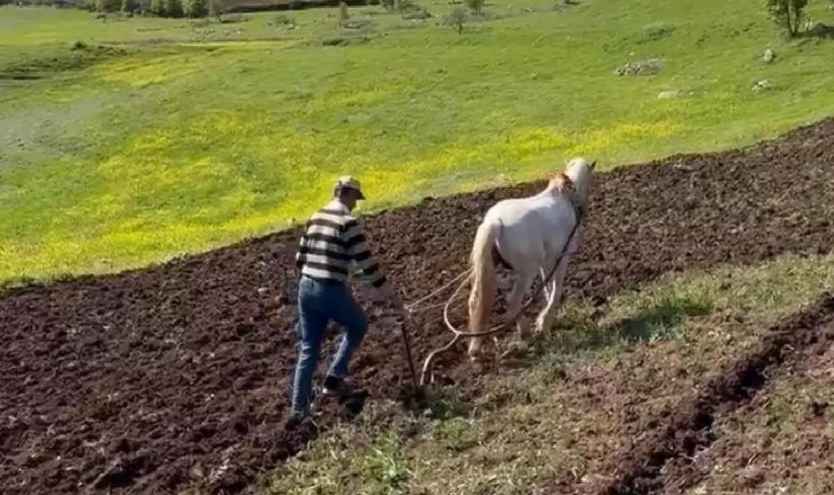 Dicle’de Çiftçi Atıyla Tarla Sürdü
