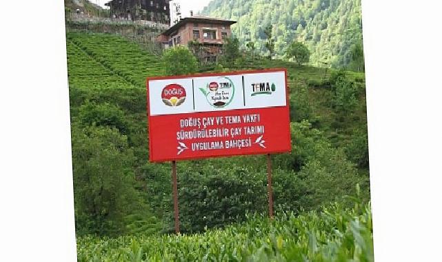Doğuş Çay ve TEMA Vakfı’ndan sağlıklı topraklar ve sürdürülebilir çay tarımı için ortak adım