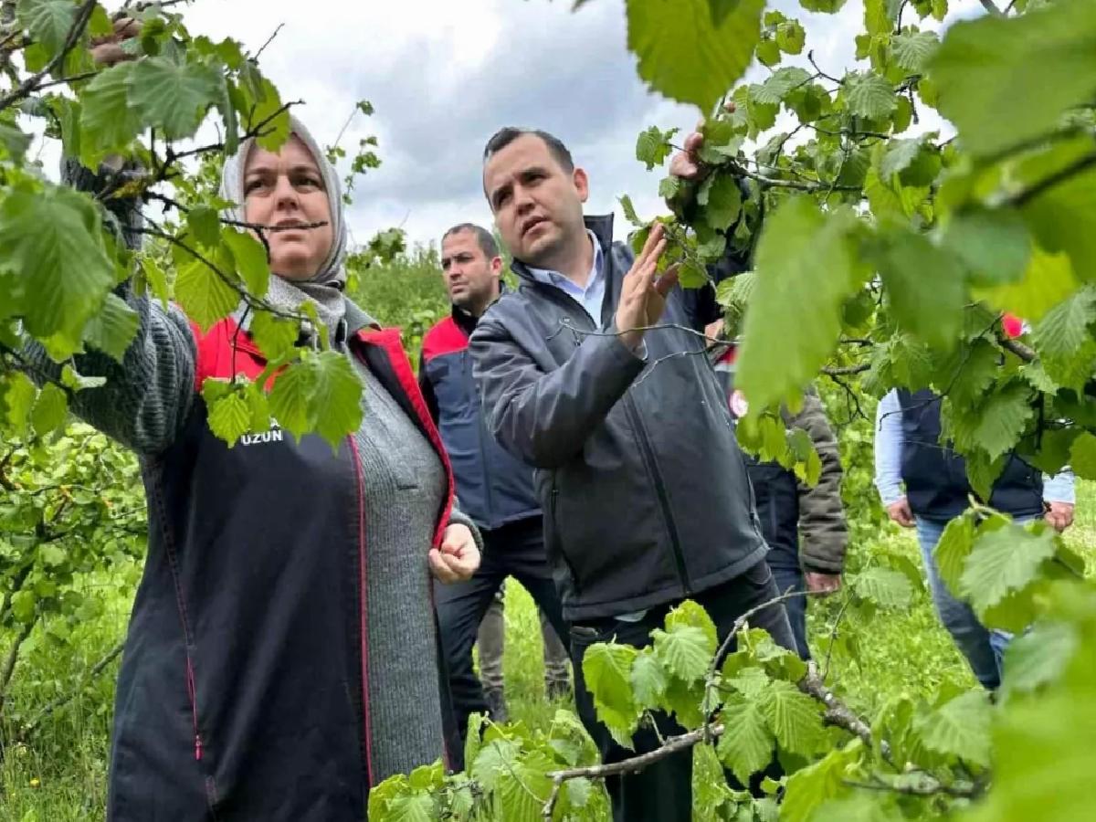 Düzce’de Don Olayı Sonrası Zarar Tespiti Toplantısı