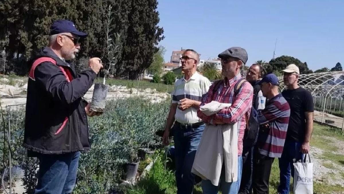 Edremit’te Zeytin Budamacılığı Kursu Tamamlandı