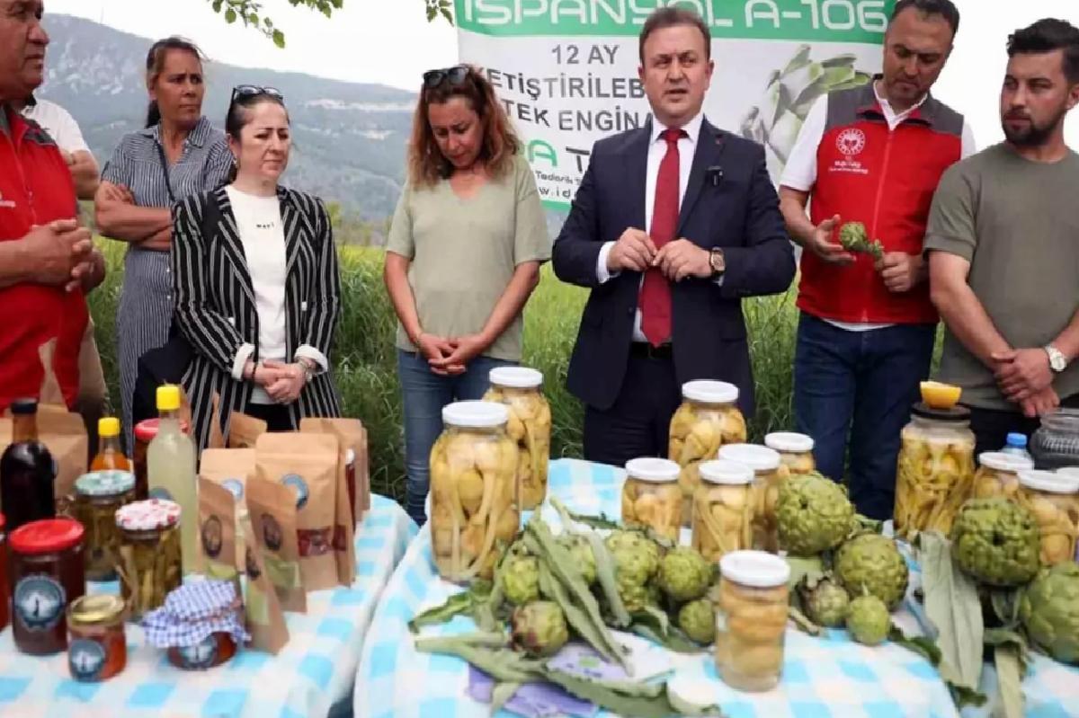 Enginar Hasadı İçin Tarla Günü Etkinliği