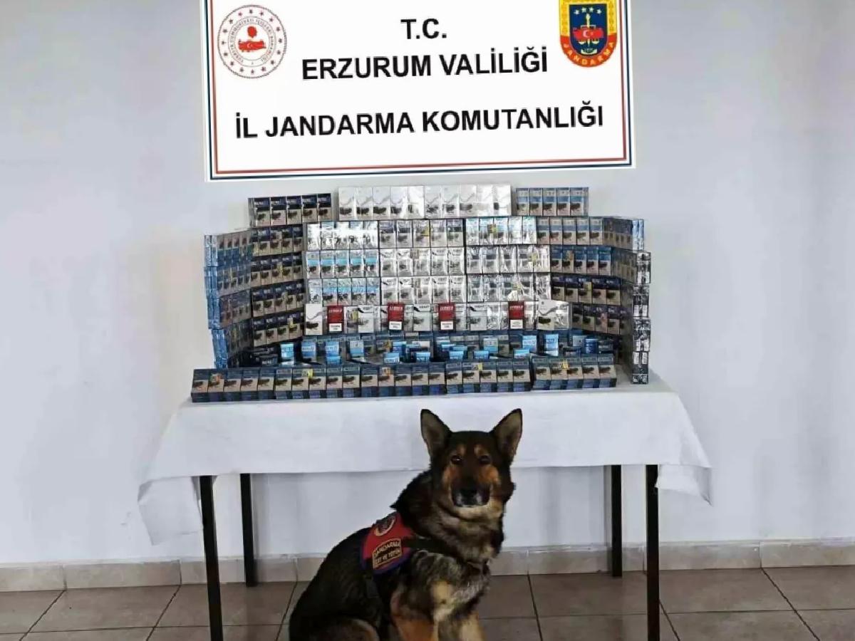 Erzurum’da Kaçak Ürün Operasyonu