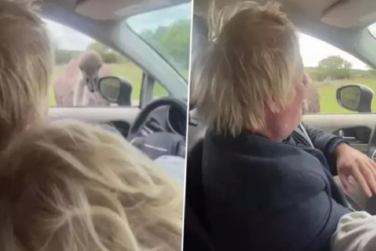 Eski başbakan Boris Johnson’ı safari parkında devekuşu ısırdı