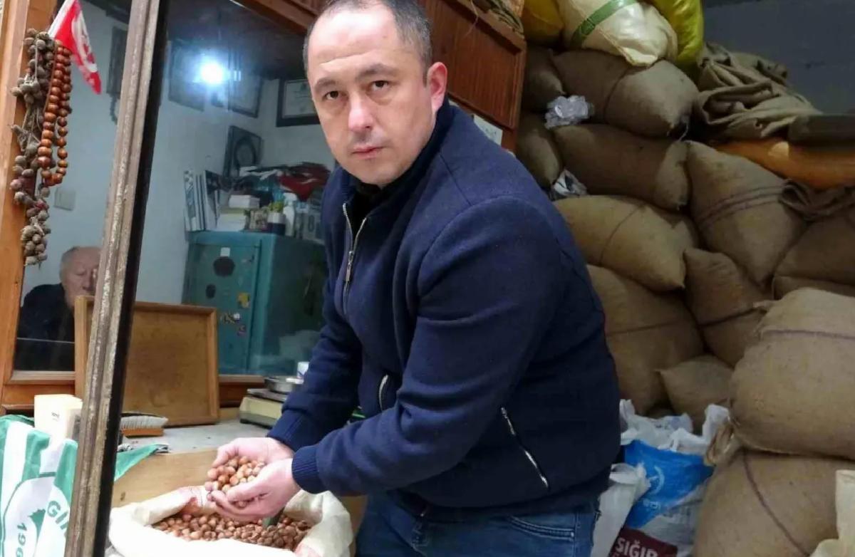 Fındık Fiyatları Rekor Kırdı