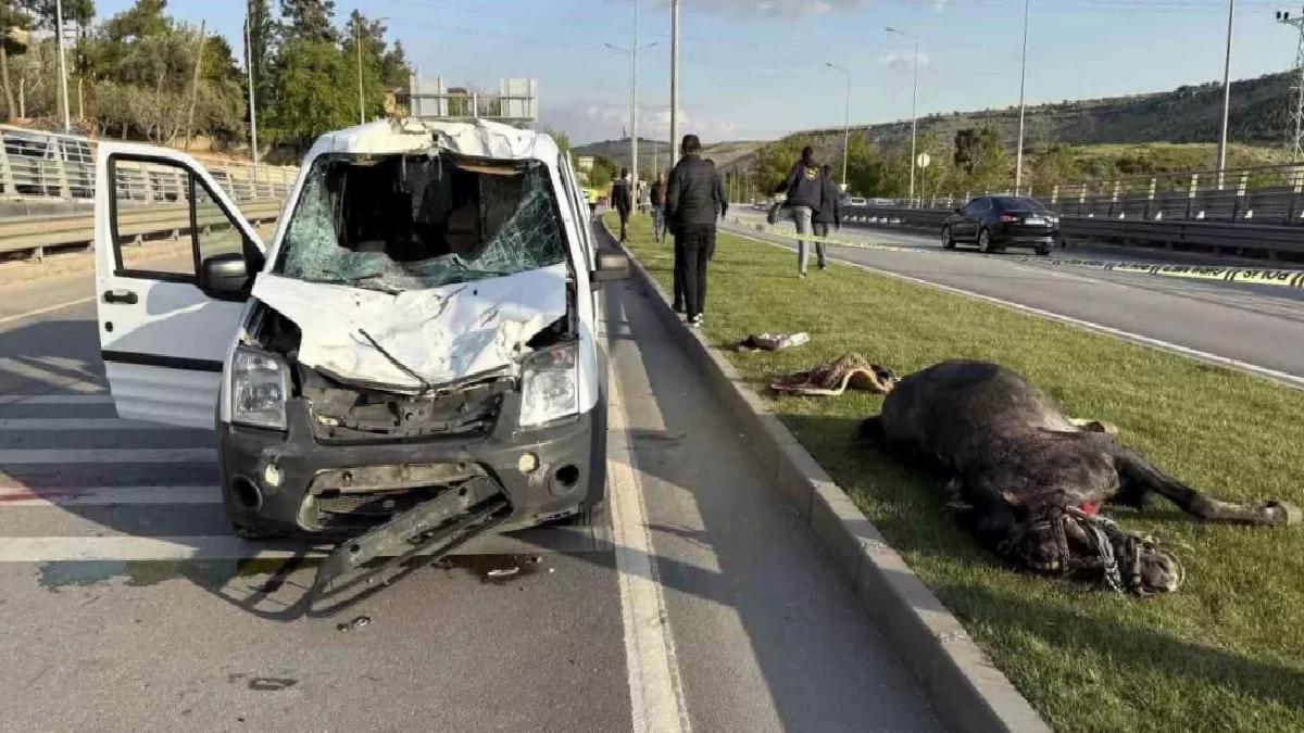Gaziantep’te Polis Aracına At Çarptı
