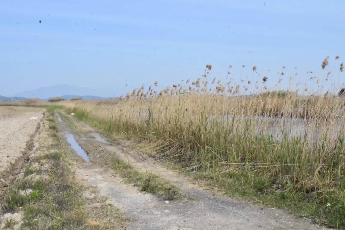 Gediz Nehri’nde Kuraklık ve Kirlilik Krizi