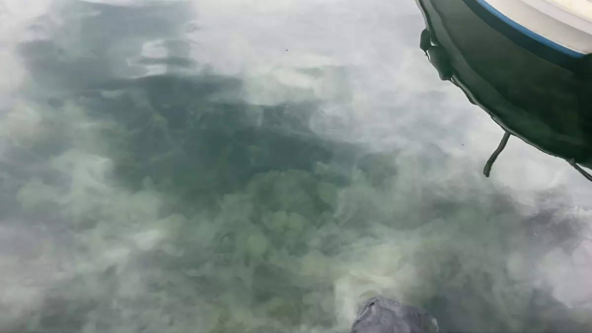 Gemlik’te Müsilaj Sorunu Balıkçılara Zarar Veriyor