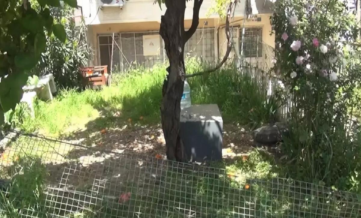 Gemlik’te Yavru Kedilerin Öldürülmesi İle Soruşturma Başlatıldı