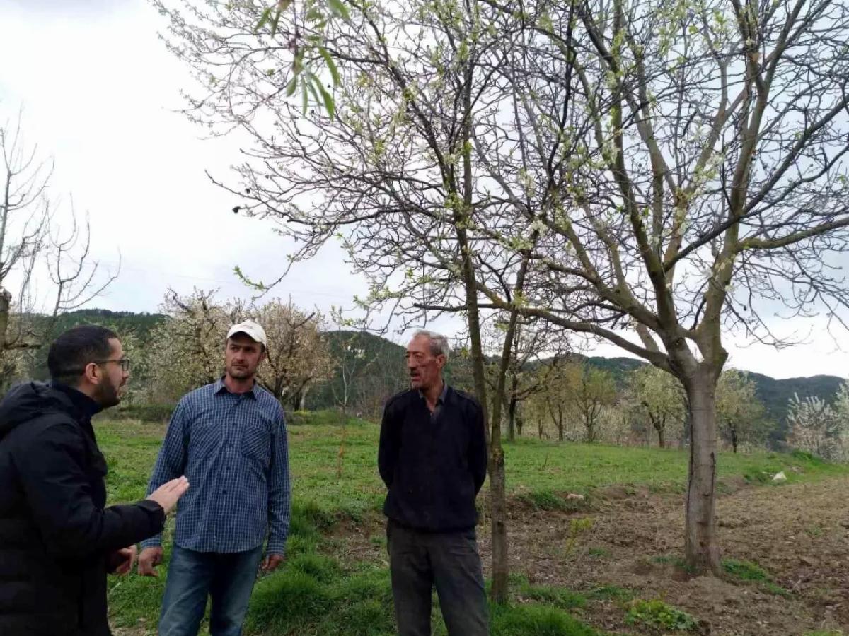 Gölpazarı’nda Tarımda Don Riski ve Önlemler