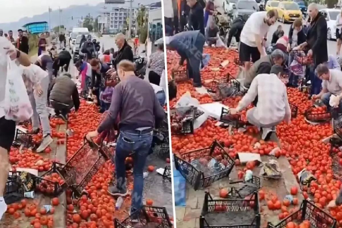 Görüntü Türkiye’den! Domates yüklü tır devrildi, vatandaşlar olay yerine akın etti