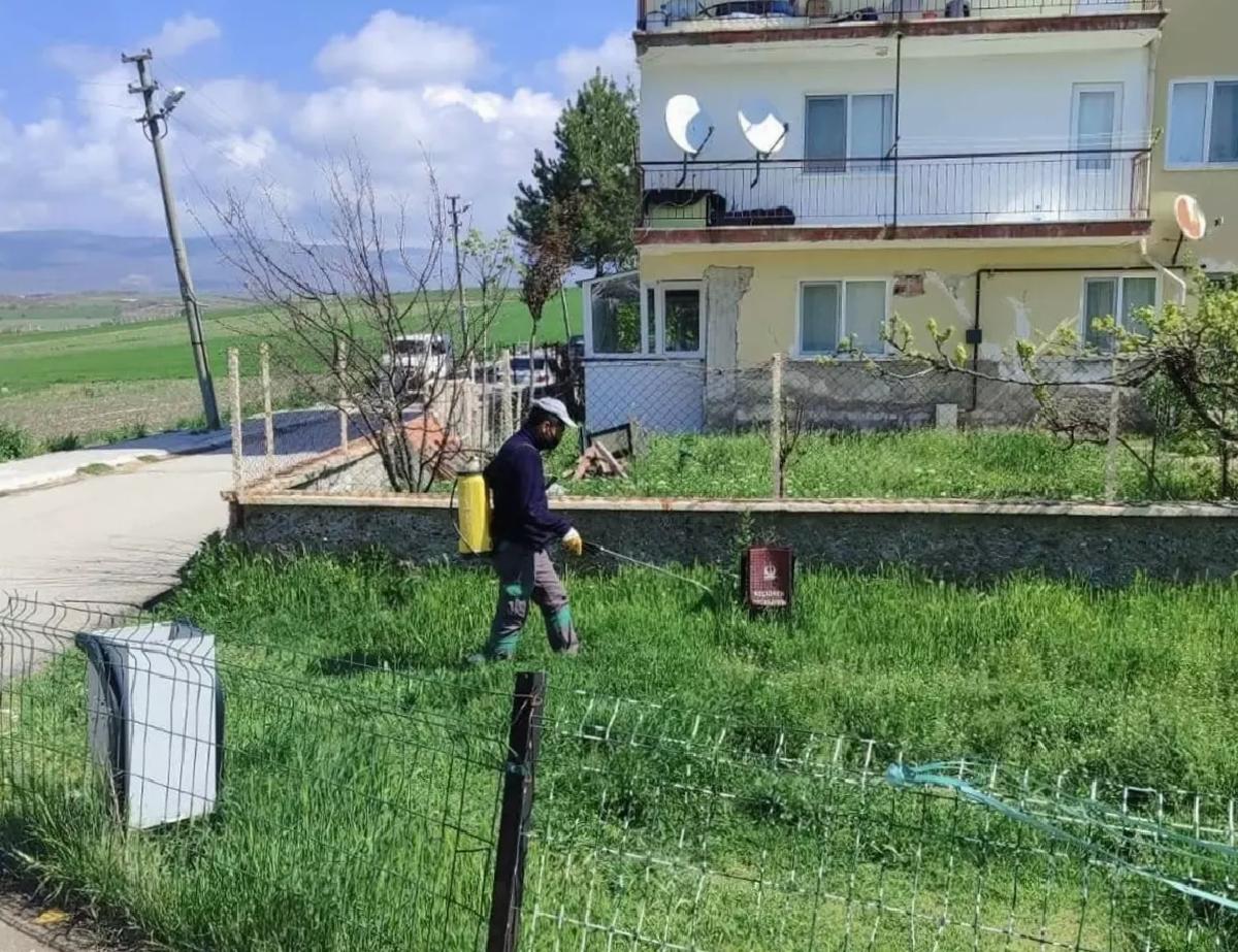Güdül’de Haşereyle Mücadele Başlatıldı