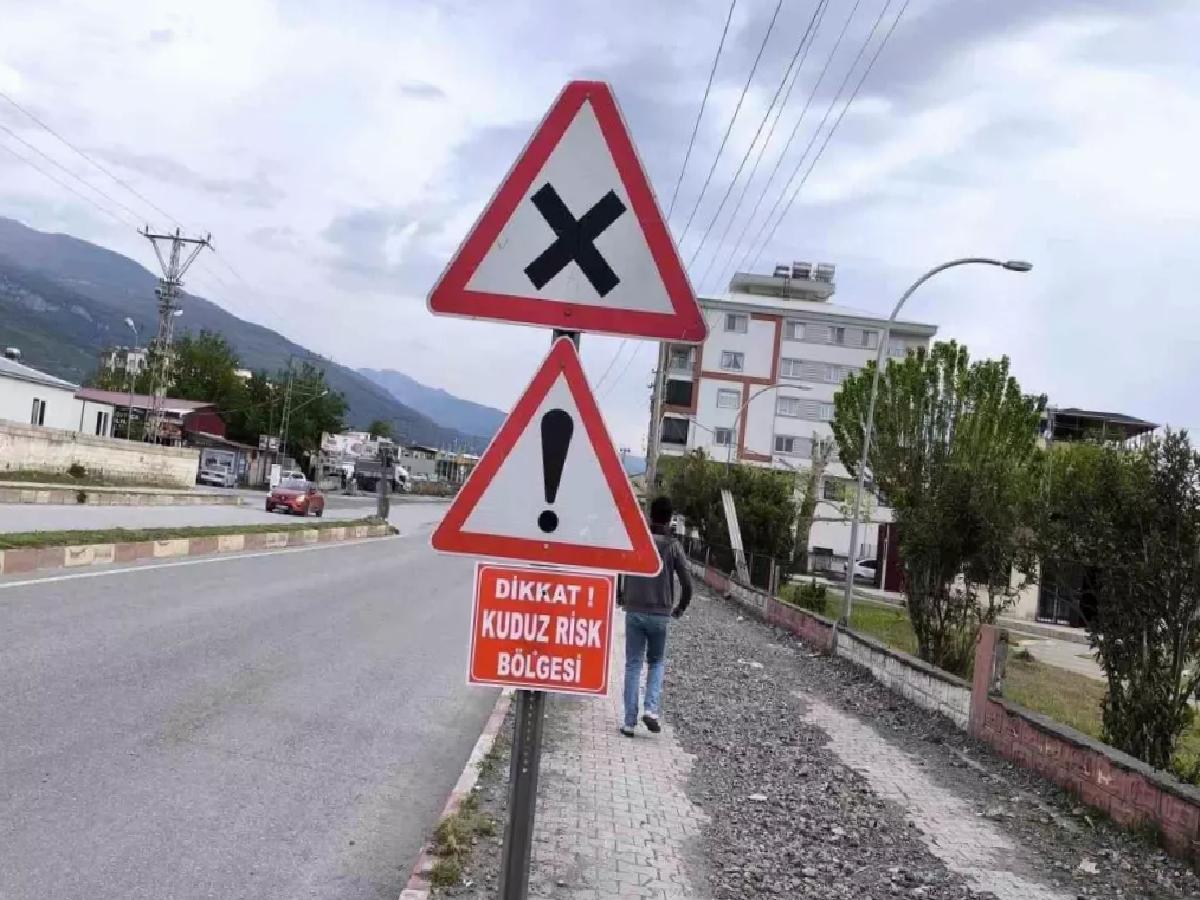 Hatay’da Kuduz Vakası: Özerli Mahallesi Risk Bölgesi İlan Edildi