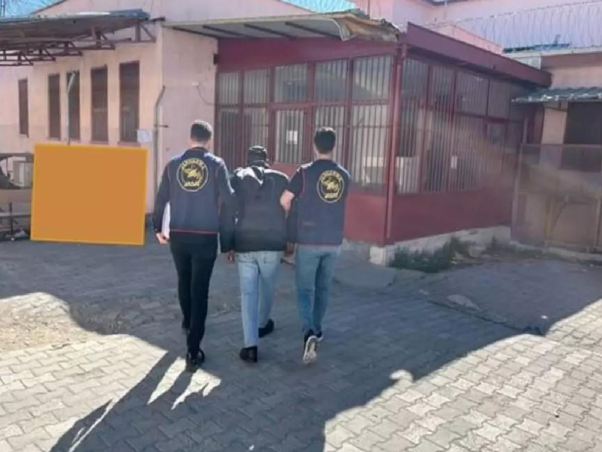 Hayvan Hırsızı Çobanlık Yaparken Yakalandı