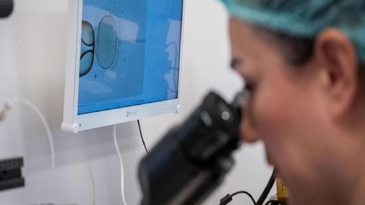 Hollanda’da 85 sperm donörünün binlerce çocuğa babalık yaptığı skandalı